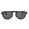 August Tortoise Sunglasses