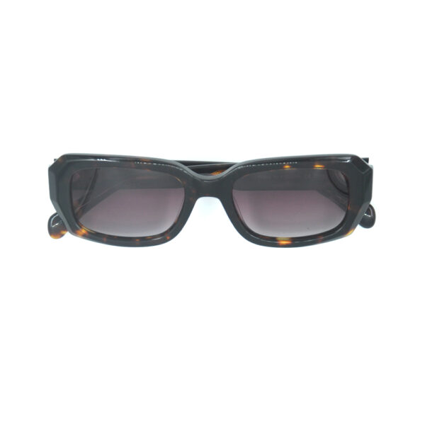 Oasis Tortoise Sunglasses