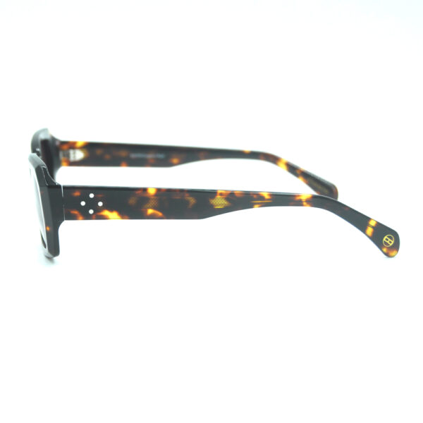 Oasis Tortoise Sunglasses - Image 4