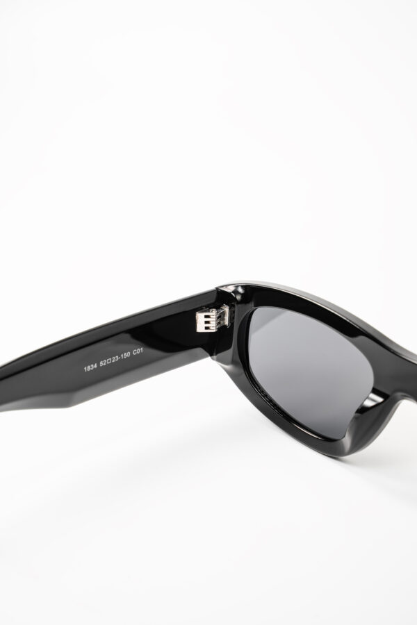 Imja Black Sunglasses - Image 5